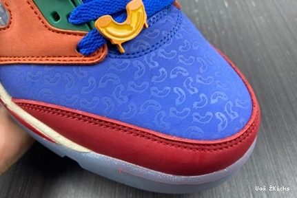 DR6287- Low Sophisticated 5 7785 Jordan Air “Doernbecher” 572 0908